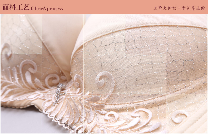 梦<em>芭蒂</em> 秋新款聚拢<em>文胸</em>暗影浮<em>香</em>蕾丝刺绣小胸